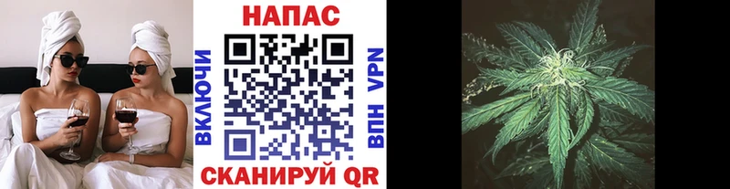ГАШИШ Богородск
