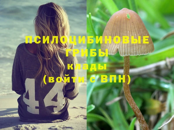 герыч Кинешма