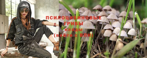 герыч Кинешма